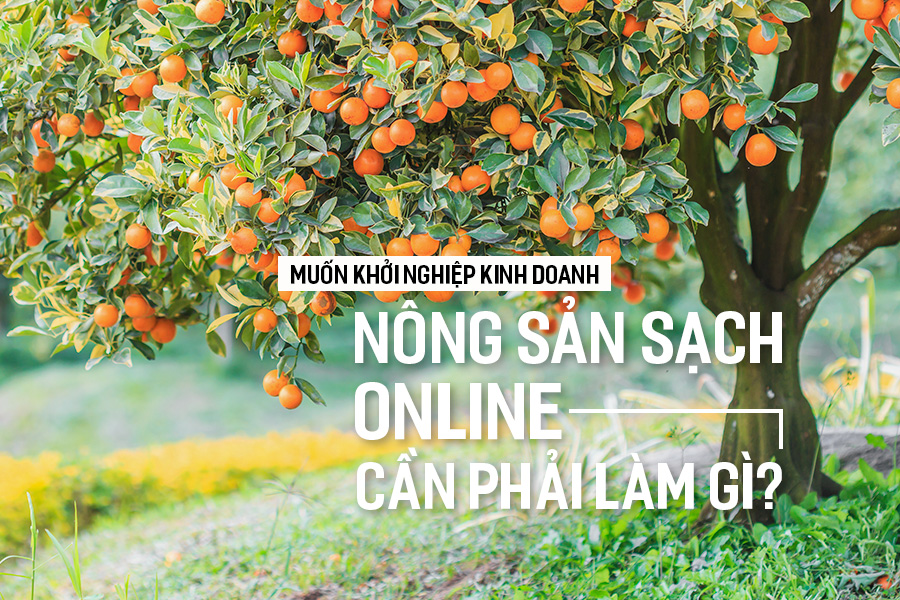Muốn khởi nghiệp kinh doanh nông sản sạch online cần phải làm gì?